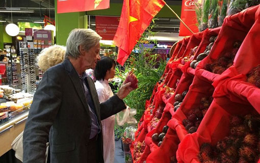 Les exportations vietnamiennes vers la France ont progressé de plus de 28% en glissement annuel Les exportations vietnamiennes vers la France ont progressé de plus de 28% en glissement annuel