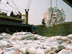 Riz : Le Vietnam confirme sa place de n°2 mondial Riz : Le Vietnam confirme sa place de n°2 mondial
