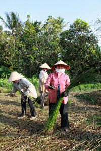 Vietnam : des millions d’emplois qui n’existent pas