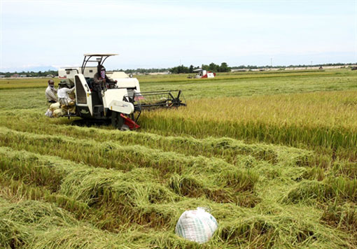 La formation professionnelle, gage de modernisation de l’agriculture