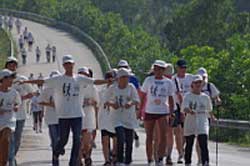 Course à pied : une centaine d'étrangers aux Foulées du Vietnam Course à pied : une centaine d'étrangers aux Foulées du Vietnam