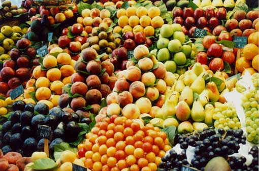 Fruits : développer la culture hors saison Fruits : développer la culture hors saison
