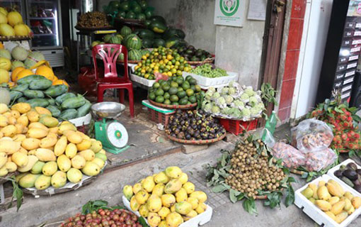 Le Vietnam regorge de fruits inconnus en Occident