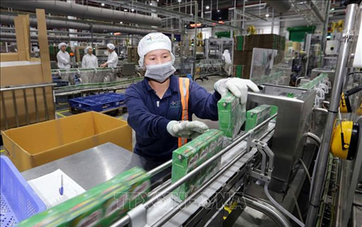 Banque mondiale: le PIB du Vietnam devrait augmenter d'environ 4,8% en 2021 Banque mondiale: le PIB du Vietnam devrait augmenter d'environ 4,8% en 2021