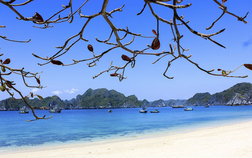 Google révèle les destinations touristiques vietnamiennes les plus recherchées en 2020