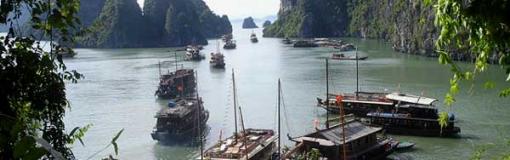 Tourisme: 3,8 millions de visiteurs étrangers au Vietnam en 2009 Tourisme: 3,8 millions de visiteurs étrangers au Vietnam en 2009