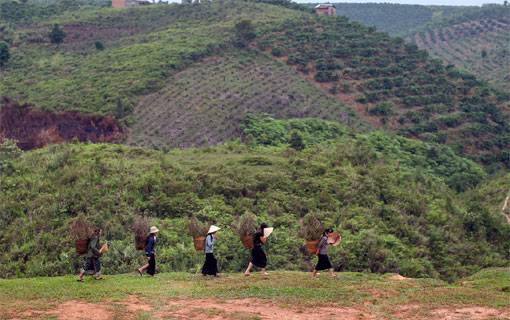 L’enchantement des hauts plateaux du Vietnam