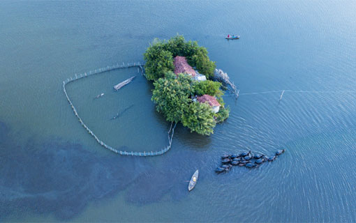 Un couple vietnamien s'est construit une île artificielle autonome Un couple vietnamien s'est construit une île artificielle autonome