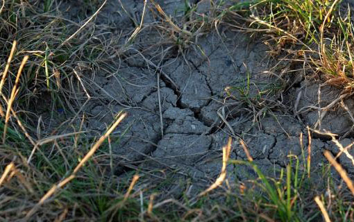 Le Vietnam s’inspire d’Israël pour lutter contre la sècheresse