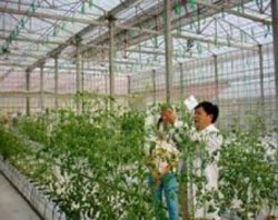 ISRAËL-VIETNAM : renforcement de la coopération dans l'agriculture