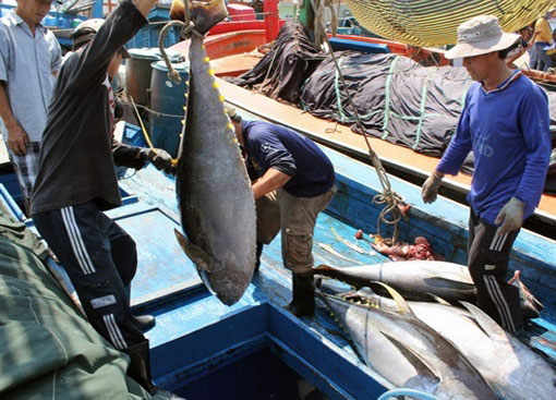 Le Japon investit dans 180 navires de pêche en composite au Vietnam