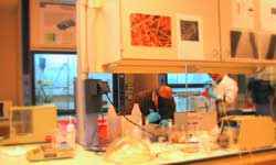 Vietnam-France : Coopération dans la recherche scientifique Vietnam-France : Coopération dans la recherche scientifique