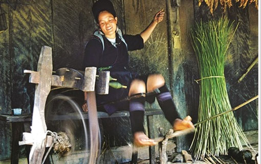 Le lin, les costumes et la tradition du tissage chez les H'mông Le lin, les costumes et la tradition du tissage chez les H'mông