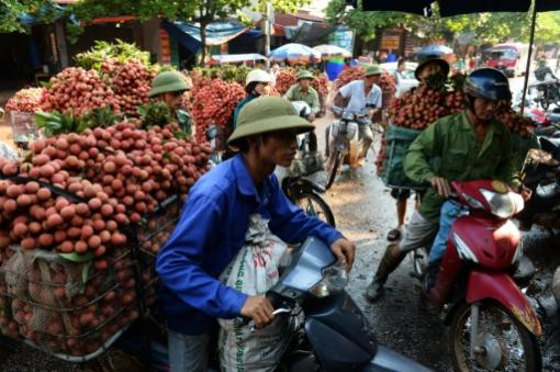 La guerre du litchi: le Vietnam ne veut plus dépendre de la Chine La guerre du litchi: le Vietnam ne veut plus dépendre de la Chine
