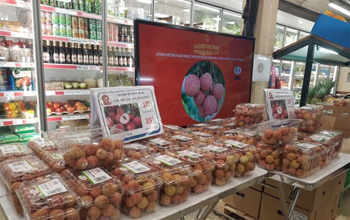 Premier lot de litchis vietnamiens avec cachet de traçabilité vendu en France Premier lot de litchis vietnamiens avec cachet de traçabilité vendu en France