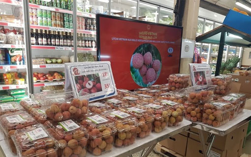 Premier lot de litchis vietnamiens avec cachet de traçabilité vendu en France