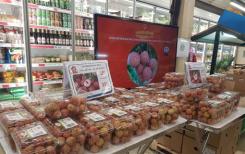 Premier lot de litchis vietnamiens avec cachet de traçabilité vendu en France Premier lot de litchis vietnamiens avec cachet de traçabilité vendu en France