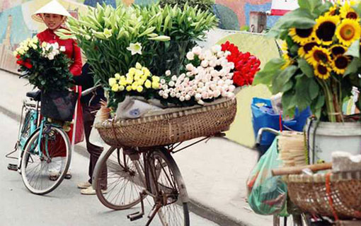 Vietnam : toute la magie colorée des paniers portés par les vendeurs à bicyclette Vietnam : toute la magie colorée des paniers portés par les vendeurs à bicyclette