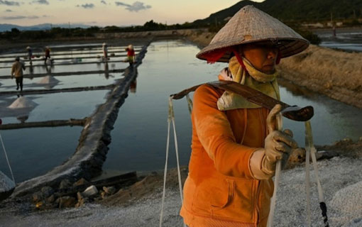 Au Vietnam, le changement climatique ennemi des ouvriers des marais salants Au Vietnam, le changement climatique ennemi des ouvriers des marais salants