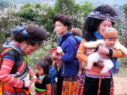 Vietnam : abolir les mariages précoces Vietnam : abolir les mariages précoces