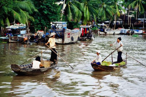 L’AFD avec le Vietnam dans sa lutte contre le changement climatique
