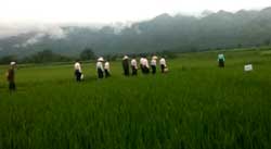 Vietnam: quand la mer monte...