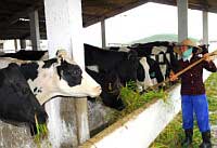France-Vietnam : renforcer la coopération Midi-Pyrénées-Son La dans l'agriculture France-Vietnam : renforcer la coopération Midi-Pyrénées-Son La dans l'agriculture