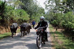 De Hanoï à Halong : 1 922 km à moto pour dix Réunionnais