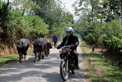 De Hanoï à Halong : 1 922 km à moto pour dix Réunionnais De Hanoï à Halong : 1 922 km à moto pour dix Réunionnais