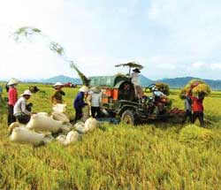 Le Vietnam peut continuer à exporter son riz Le Vietnam peut continuer à exporter son riz