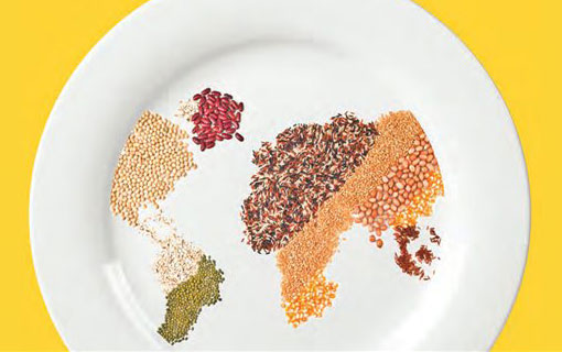 Le Canada participera à la sécurité alimentaire des enfants au Vietnam Le Canada participera à la sécurité alimentaire des enfants au Vietnam