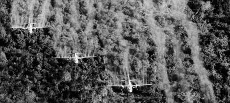 Vietnam : quarante ans plus tard, le poison de l’agent orange continue d’agir Vietnam : quarante ans plus tard, le poison de l’agent orange continue d’agir