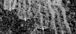 Vietnam : quarante ans plus tard, le poison de l’agent orange continue d’agir Vietnam : quarante ans plus tard, le poison de l’agent orange continue d’agir