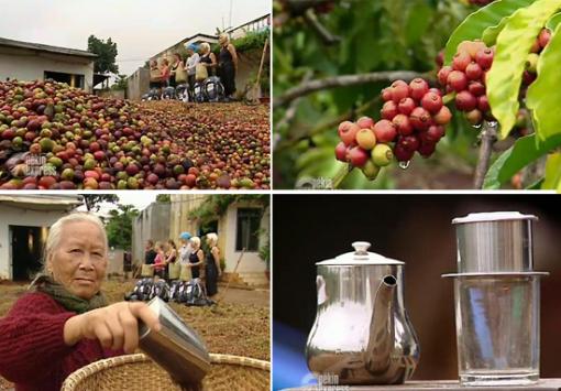 CAFE VIETNAMIEN CAFE VIETNAMIEN