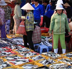 Vietnam: Phan Thiet, du marché à la plage
