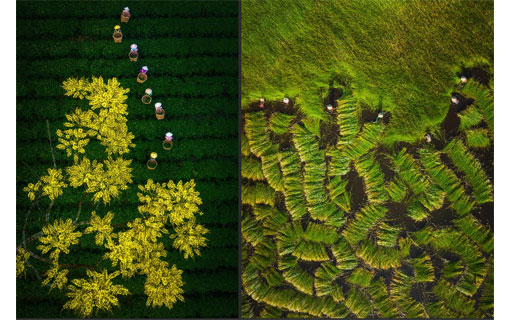 Souvent avec des drones, des photos aériennes capturent les paysages du Vietnam à couper le souffle