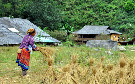 Au Vietnam, la difficile lutte contre les poches de pauvreté Au Vietnam, la difficile lutte contre les poches de pauvreté
