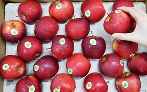 La pomme de France a peu à peu conquis les consommateurs vietnamiens