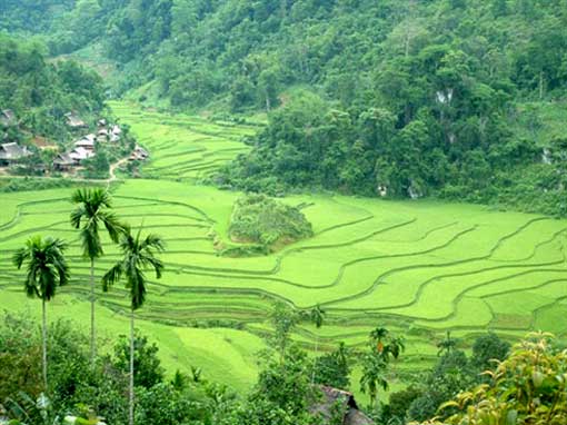 Tourisme: Le séjour chez l'habitant façon Thai dans la Réserve de Pù Luông Tourisme: Le séjour chez l'habitant façon Thai dans la Réserve de Pù Luông