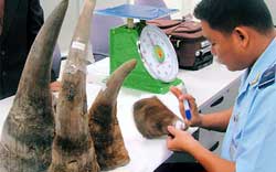 L’Afrique du Sud et le Vietnam s’accordent pour la protection des rhinocéros L’Afrique du Sud et le Vietnam s’accordent pour la protection des rhinocéros