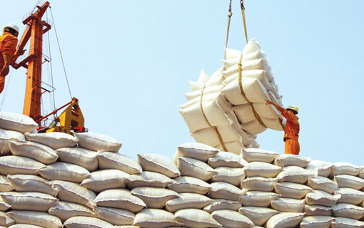 Les exportations de riz du Vietnam face à un marché mondial "ébranlé"
