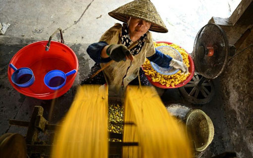 Fabriquer la soie à Co Chat au Vietnam: un métier séculaire, mais menacé