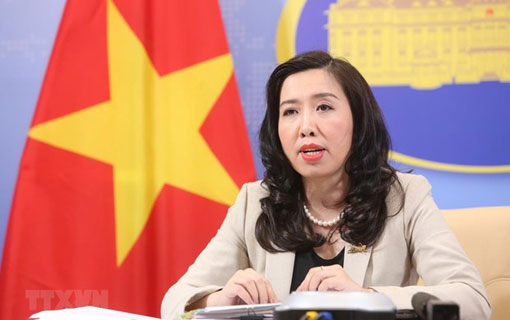 Le Vietnam suit de près la situation compliquée dans des zones maritimes de certains pays de l’ASEAN