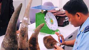 Rhinocéros: coopération Vietnam-Afrique du sud contre le braconnage Rhinocéros: coopération Vietnam-Afrique du sud contre le braconnage