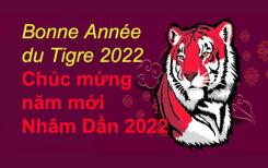 Bonne Année du Tigre 2022! - Chúc mừng năm mới Nhâm Dần 2022!
