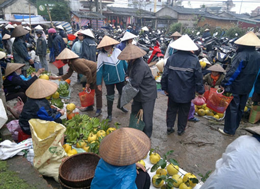 Le marché du Têt à la campagne