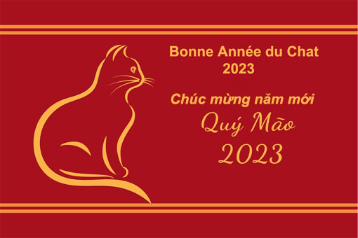 Les Vietnamiens dans tout le pays sont descendus dans les rues pour accueillir la nouvelle année du Chat 2023