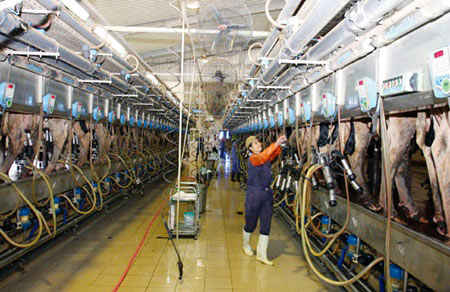Vietnam : TH TRUE MILK, entreprise de production de lait frais n°1 du pays