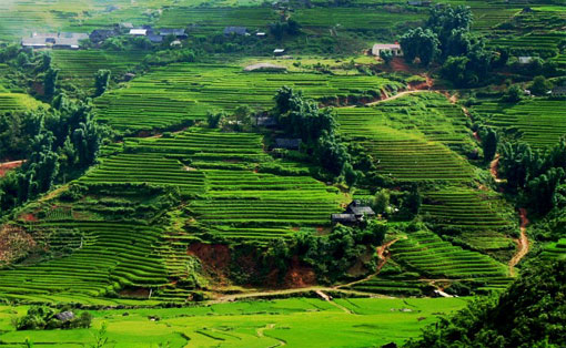 Explorations, Vietnam : Deux jours de trek autour de Sapa