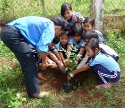 Fête de la plantation des arbres au Vietnam